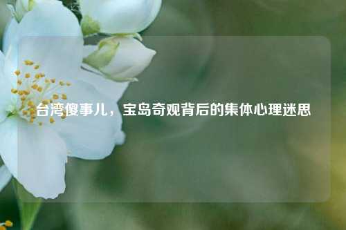 台湾傻事儿,宝岛奇观背后的集体心理迷思