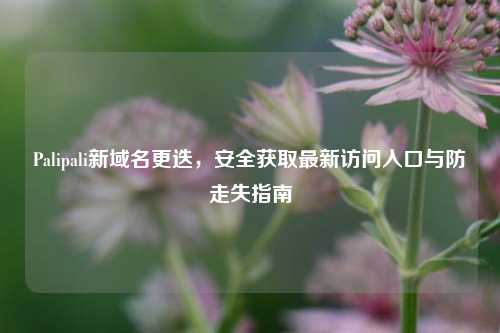 Palipali新域名更迭，安全获取最新访问入口与防走失指南