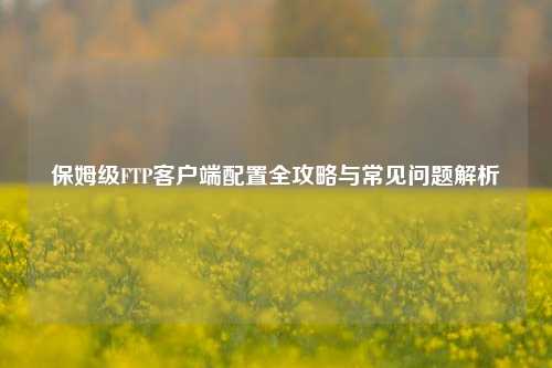 保姆级FTP客户端配置全攻略与常见问题解析
