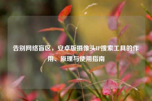 告别网络盲区，安卓版摄像头IP搜索工具的作用、原理与使用指南