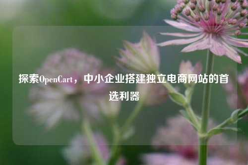 探索OpenCart，中小企业搭建独立电商网站的首选利器