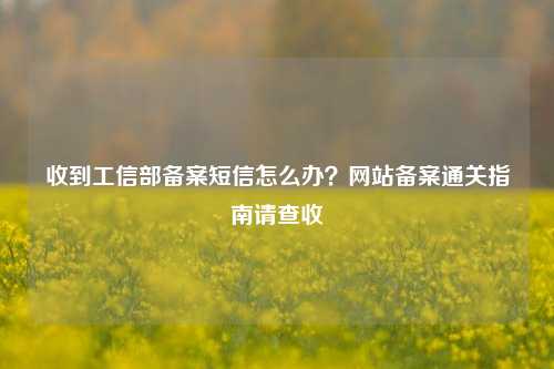 收到工信部备案短信怎么办？网站备案通关指南请查收