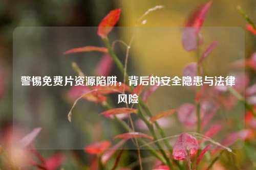 警惕免费片资源陷阱，背后的安全隐患与法律风险
