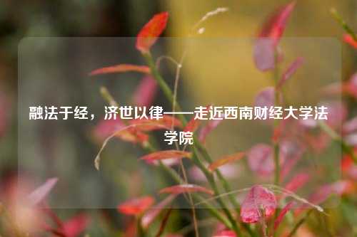 融法于经，济世以律——走近西南财经大学法学院