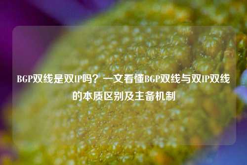 BGP双线是双IP吗？一文看懂BGP双线与双IP双线的本质区别及主备机制