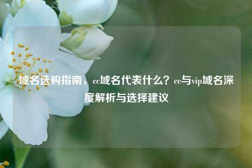 域名选购指南，cc域名代表什么？cc与vip域名深度解析与选择建议