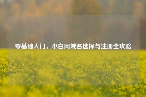 零基础入门，小白网域名选择与注册全攻略