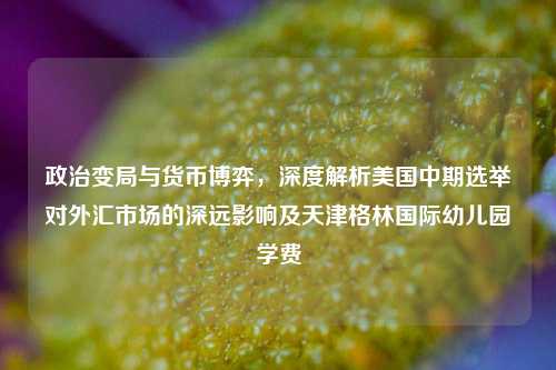 政治变局与货币博弈,深度解析美国中期选举对外汇市场的深远影响及天津格林国际幼儿园学费