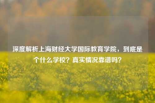 深度解析上海财经大学国际教育学院,到底是个什么学校?真实情况靠谱吗?