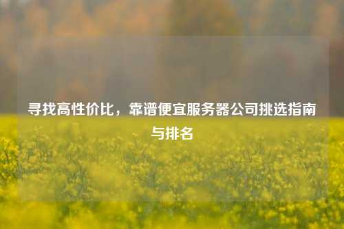 寻找高性价比,靠谱便宜服务器公司挑选指南与排名
