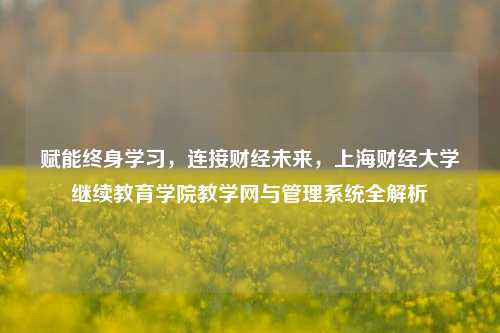 赋能终身学习,连接财经未来,上海财经大学继续教育学院教学网与管理系统全解析