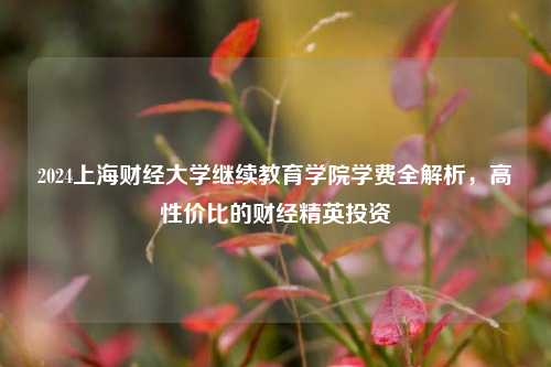 2024上海财经大学继续教育学院学费全解析,高性价比的财经精英投资