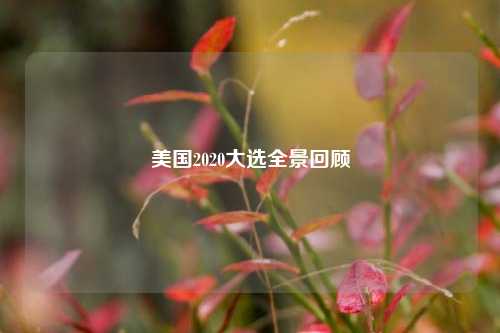 美国2020大选全景回顾