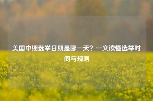 美国中期选举日期是哪一天？一文读懂选举时间与规则