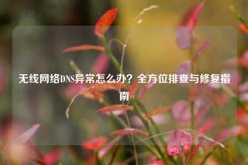 无线网络DNS异常怎么办?全方位排查与修复指南
