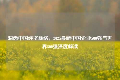 洞悉中国经济脉络,2025最新中国企业500强与世界500强深度解读