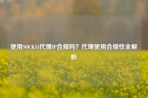 使用SOCKS5代理IP合规吗?代理使用合规性全解析