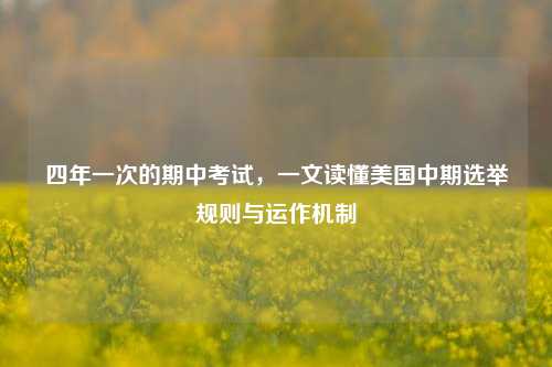 四年一次的期中考试，一文读懂美国中期选举规则与运作机制