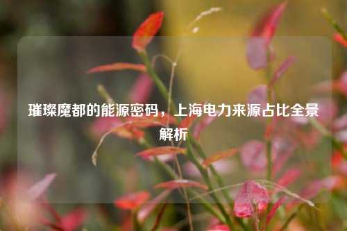 璀璨魔都的能源密码,上海电力来源占比全景解析