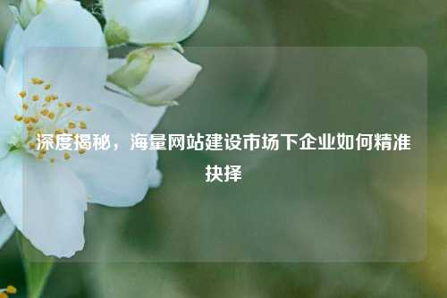 深度揭秘,海量网站建设市场下企业如何精准抉择