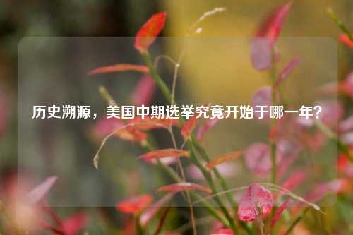 历史溯源，美国中期选举究竟开始于哪一年？