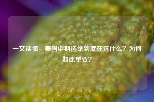 一文读懂,美国中期选举到底在选什么?为何如此重要?