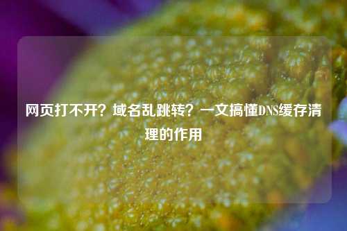 网页打不开?域名乱跳转?一文搞懂DNS缓存清理的作用