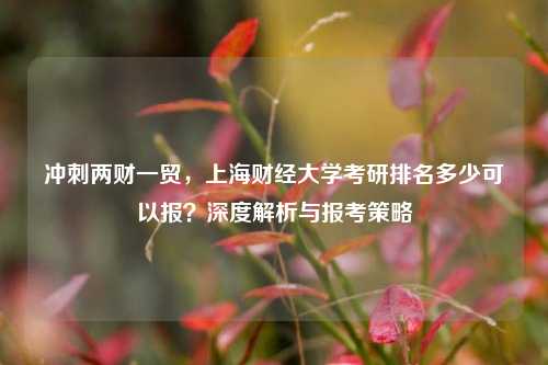 冲刺两财一贸,上海财经大学考研排名多少可以报?深度解析与报考策略
