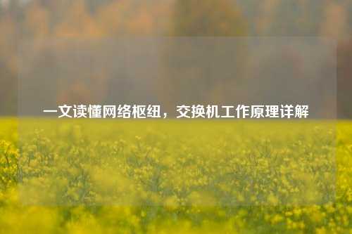 一文读懂网络枢纽,交换机工作原理详解