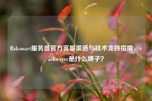 Raksmart服务器官方客服渠道与技术支持指南,rackserver是什么牌子?