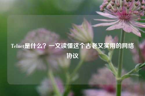 Telnet是什么？一文读懂这个古老又实用的网络协议
