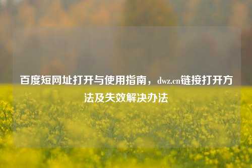 百度短网址打开与使用指南,dwz.cn链接打开方法及失效解决办法