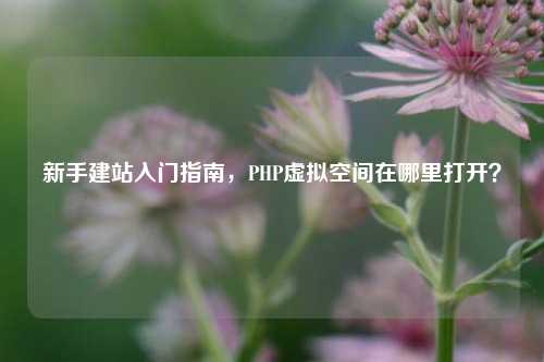 新手建站入门指南,PHP虚拟空间在哪里打开?