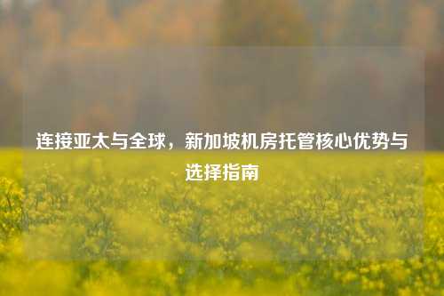 连接亚太与全球,新加坡机房托管核心优势与选择指南