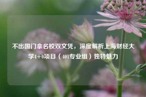 不出国门拿名校双文凭,深度解析上海财经大学4+0项目(401专业组)独特魅力
