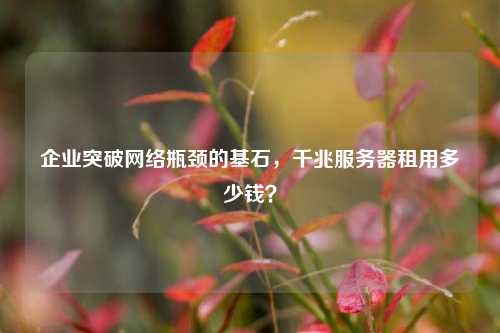 企业突破网络瓶颈的基石,千兆服务器租用多少钱?