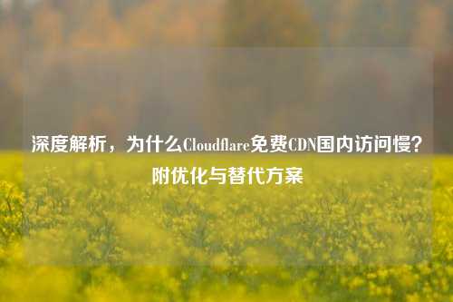 深度解析,为什么Cloudflare免费CDN国内访问慢?附优化与替代方案