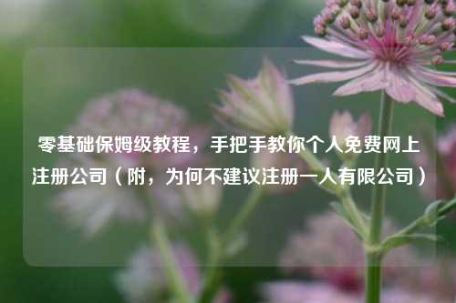 零基础保姆级教程，手把手教你个人免费网上注册公司（附，为何不建议注册一人有限公司）