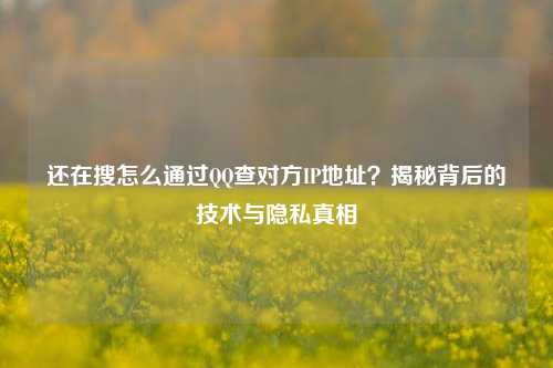 还在搜怎么通过QQ查对方IP地址?揭秘背后的技术与隐私真相