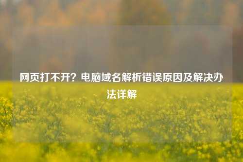网页打不开?电脑域名解析错误原因及解决办法详解