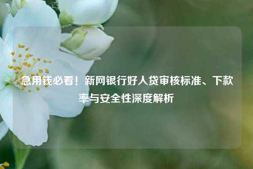 急用钱必看!新网银行好人贷审核标准、下款率与安全性深度解析