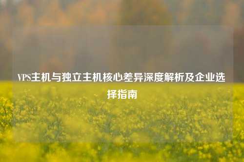 VPS主机与独立主机核心差异深度解析及企业选择指南