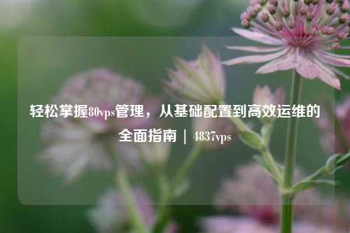轻松掌握80vps管理,从基础配置到高效运维的全面指南 | 4837vps