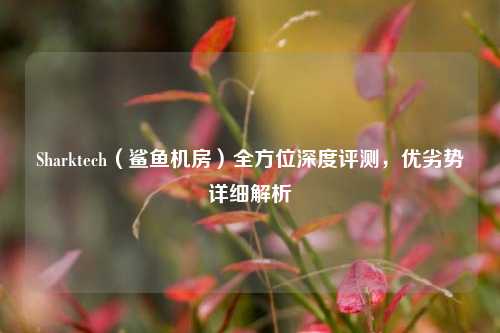 Sharktech(鲨鱼机房)全方位深度评测,优劣势详细解析
