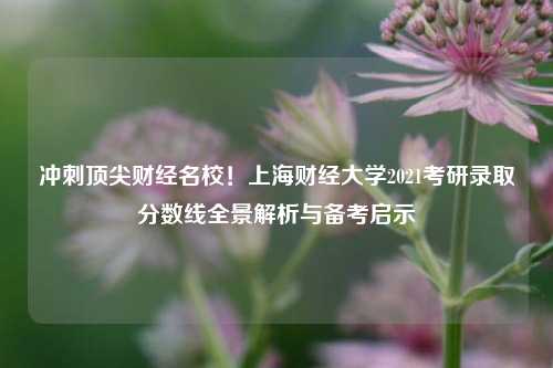 冲刺顶尖财经名校!上海财经大学2021考研录取分数线全景解析与备考启示