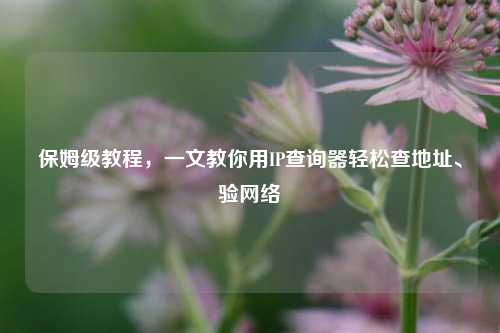 保姆级教程,一文教你用IP查询器轻松查地址、验网络