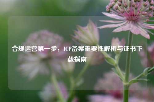 合规运营第一步,ICP备案重要性解析与证书下载指南