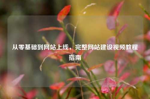 从零基础到网站上线,完整网站建设视频教程指南