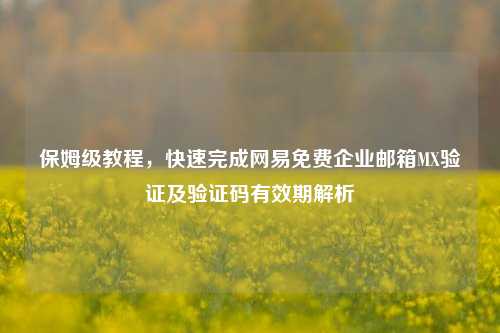 保姆级教程,快速完成网易免费企业邮箱MX验证及验证码有效期解析