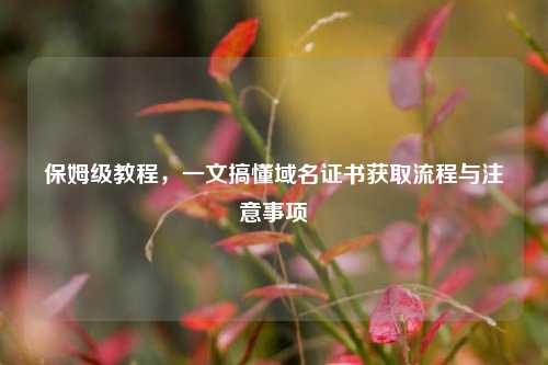 保姆级教程,一文搞懂域名证书获取流程与注意事项